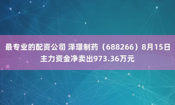 最专业的配资公司 泽璟制药（688266）8月15日主力资金净卖出973.36万元